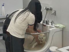 -comecome来吧宠物(奥克斯中心店)