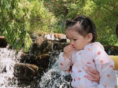 -长白岛森林公园