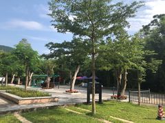 -开平碉楼文化旅游区马降龙景区