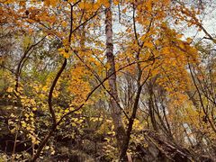 -叠溪松坪沟景区