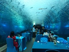 -海棠湾洲际-涛·海底餐厅·美人鱼·自助餐·海底隧道