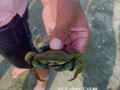 -西澳岛