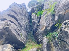 -梭布垭石林景区