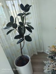 -HEYAN荷妍专业脱毛连锁机构