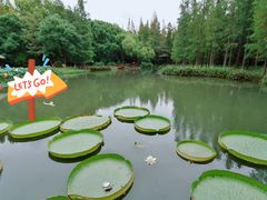 -上海滨江森林公园
