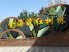 -北海金海湾红树林生态旅游区