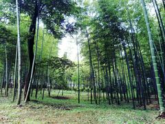 -陶祖圣境风景区