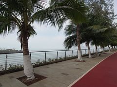 -万绿园