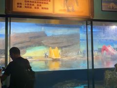 -海合安武汉极地海洋公园