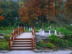 -重庆彩云湖湿地公园