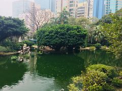 -九龙公园