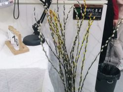 -灰姑娘美甲美睫馆