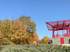 -大望京公园