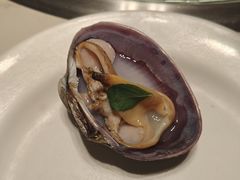 北极贝--青蓬蒸汽海鲜·深圳老字号·团建聚会(壹方城店)