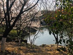 -白马涧龙池景区