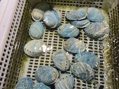 -驻海渔市(置信店)