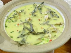杂鱼锅-威坪饭店