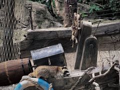 -上海野生动物园