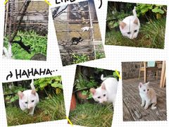 -驿舍·民國老营房院子私房菜(科学会堂店)