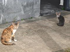-谷丰健康凤贤居酒家