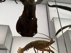 -奥克兰战争纪念博物馆