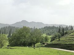 -新疆那拉提国家旅游度假区