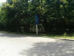 -镇江市南山风景名胜区竹林景区