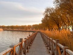 -野鸭湖国家湿地公园