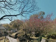 -无锡梅园公园