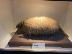 -国家自然博物馆