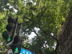 -中国福利会少年宫