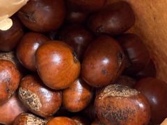 -栗满秋(燕丰西坝河店)