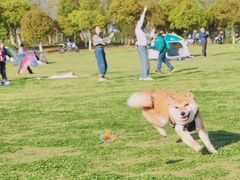 -钟山体育运动公园