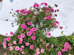 -首开·龙湖成都西宸天街