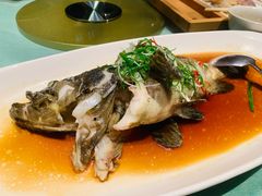 -钟菜·粤菜点心·宴请(海上世界·汇港二期店)