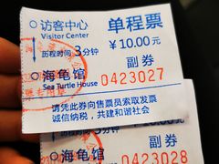 -广东惠东海龟国家级自然保护区