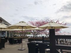 -望海·帆船主题咖啡厅•品茗下午茶(石湖景区店)