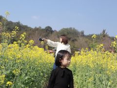 -红山村