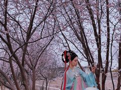 -天津东丽湖风景区