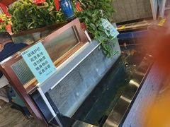 -洞庭家宴·头牌甲鱼(广渠门店)
