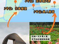 -金鸡湖景区