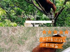 -泉州海丝野生动物世界