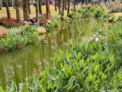 -人民公园(罗湖区)