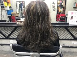 -SALON V