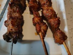 烤羊肉串-九府羊·鲜羊火锅·烤串(新华路店)