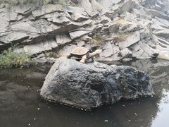 -灵山