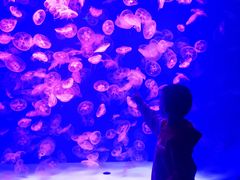 -沈阳海洋探索中心