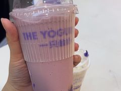 -一只酸奶牛(时代天街A馆店)
