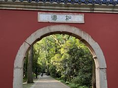 -灵谷景区