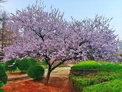 -白塘生态植物园